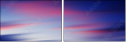 31651562