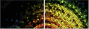 31719145