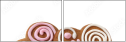 32048465