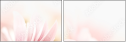 32108465