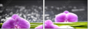32225691