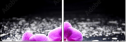32250117