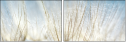 32821180