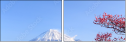 32966670