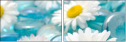 33105432