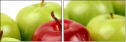 3313699