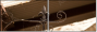 33620946