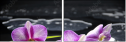 34084516