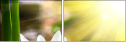 34213537