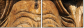 35042971