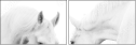 35103653