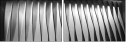 35619001