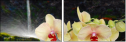 35693126