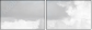 36348049