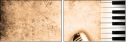 36435334