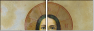 36639002