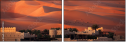 37617124