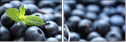 37936052