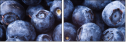 38114663