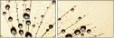 3821289