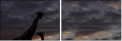 38615749