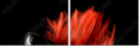 38661910