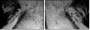 39012933