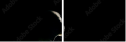 39076557