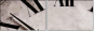 3950638