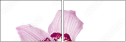 39612007