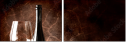 39688407