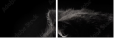 39713173