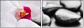 40051892