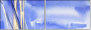 408010883