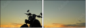40876430