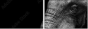 41216080