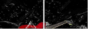 41997356