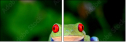 42467641