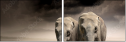43670148