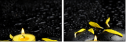43880281