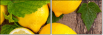 43956293
