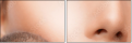 44016829