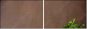 44772824