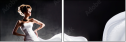 44818291