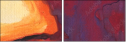 45492260