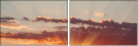45542699