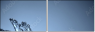 45608102