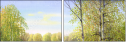 45639970
