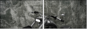 45686812
