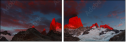 45786982